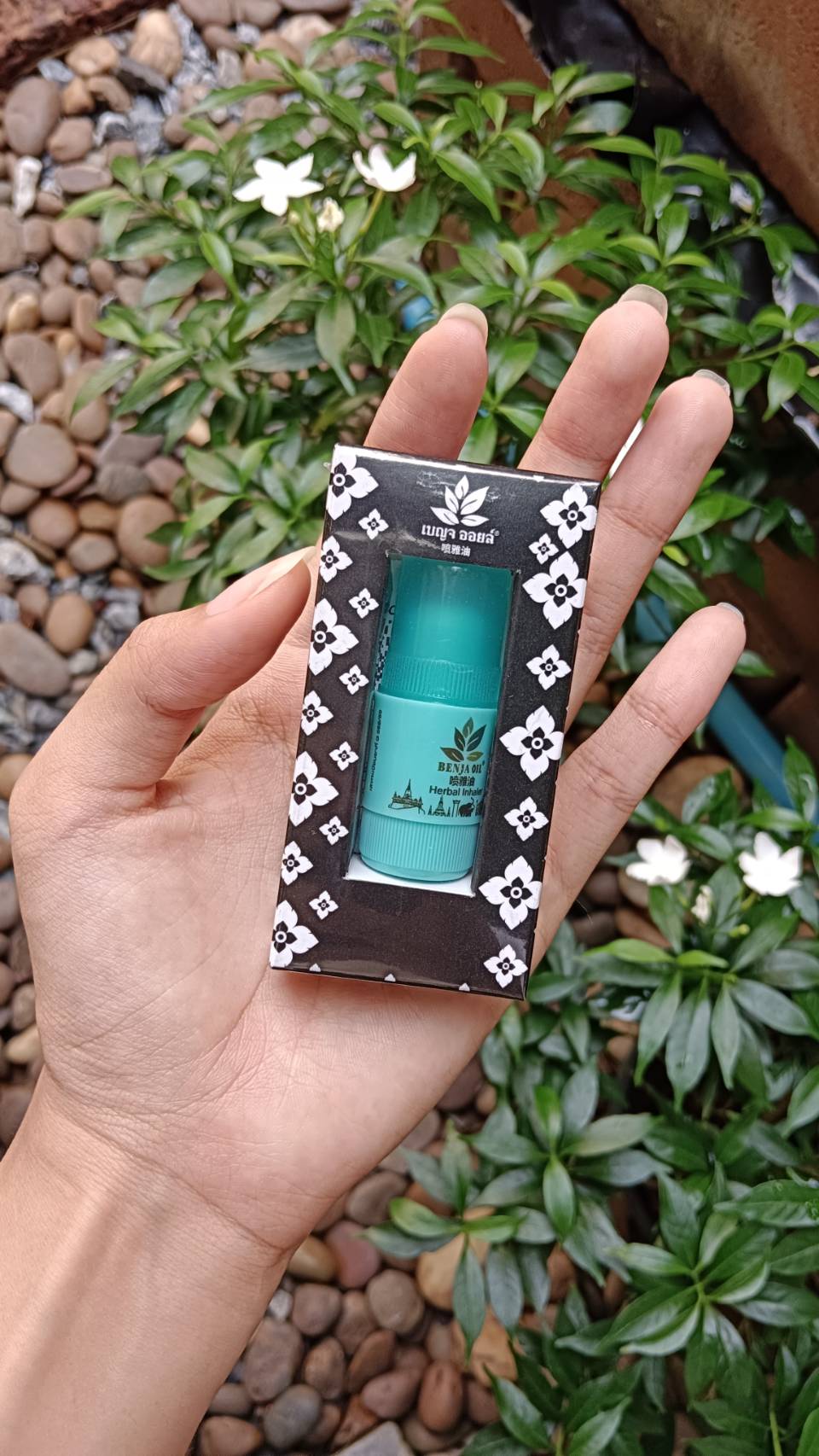 ยาดมสมุนไพร เบญจออยล์