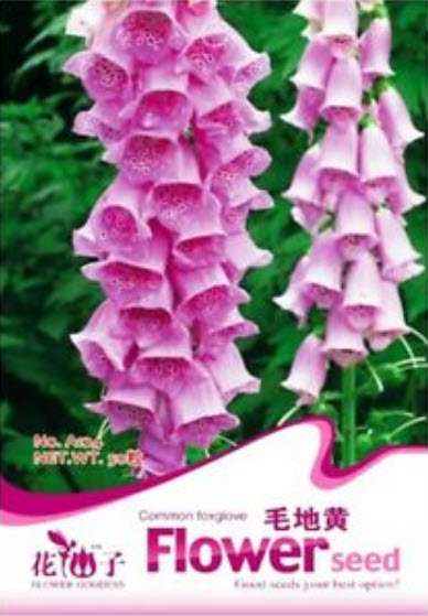 ดิจิทาลิส (Digitalis) คละ / ซอง 50 เม็ด (A124)