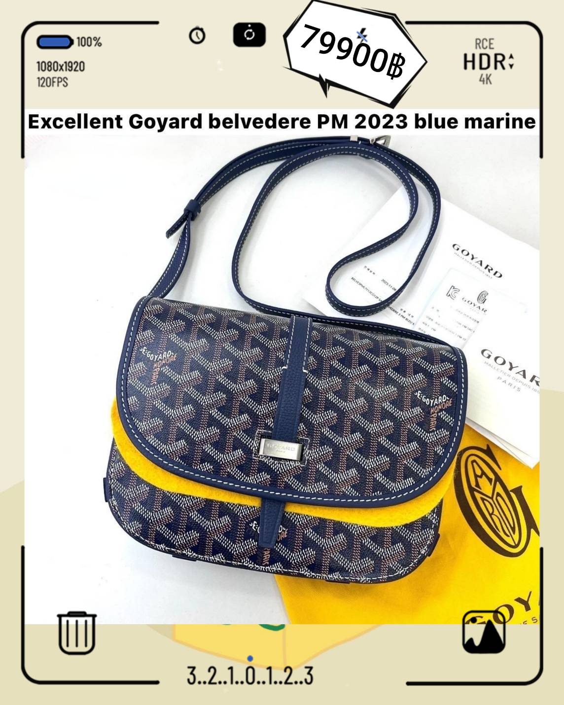 Goyard Belvedere PM Bagมือสอง