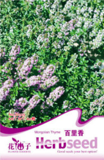 ไทม์มองโกเลีย (Mongolian thyme) / ซอง 60 เม็ด (D025)