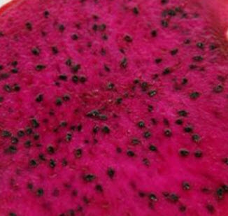 แก้วมังกร (Pitaya) เปลือกเหลือง เนื้อแดง / 50 เม็ด