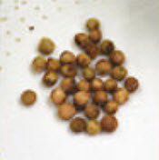 เลปโตไซฟอน (Leptosiphon / French Hybrids) คละ / 300 เม็ด (Hungary)