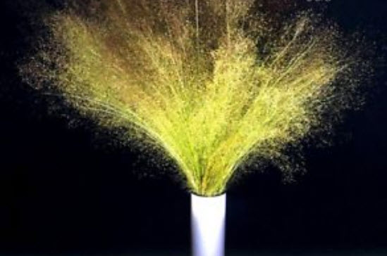 หญ้าคลาวด์ (Cloud Grass) / 1,300 เม็ด (UK)