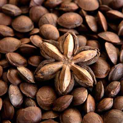 ดาวอินคา หรือถั่วดาวอินคา (Inca peanut) / 25 เม็ด (Germany)