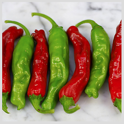 พริกชิชิโตะ (Shishito Chilli) / 10 เม็ด (Australia)*