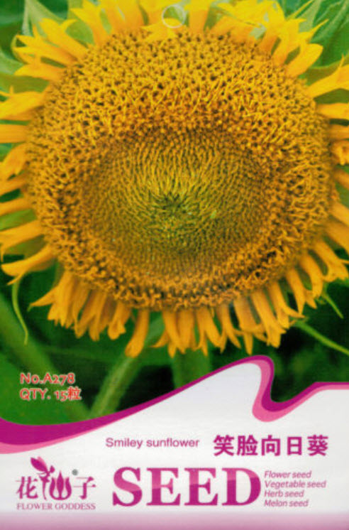 ทานตะวัน (Smiley sunflower) / ซอง 15 เม็ด (A278)