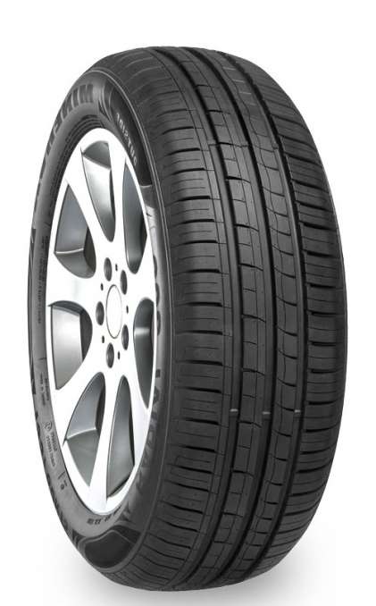 255/30R19 MINERVA F205