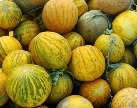 แตงบูคาร่า (Bukhara Muskmelon) อร่อยที่สุดในโลก / 5 เม็ด (Uzbekistan)
