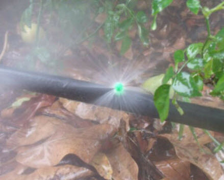 หัวฉีดน้ำฝอย 360 องศา / ชุด 25 หัว