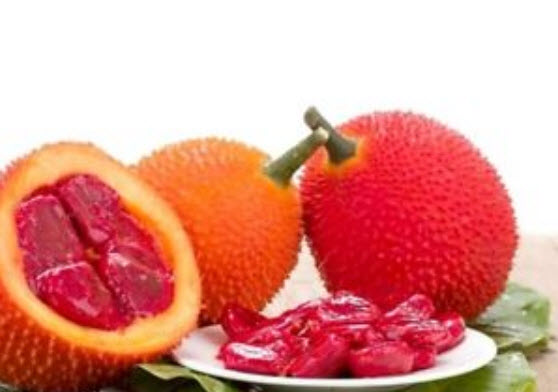 ฟักข้าว (Gac) / 50 เม็ด (ไทย)