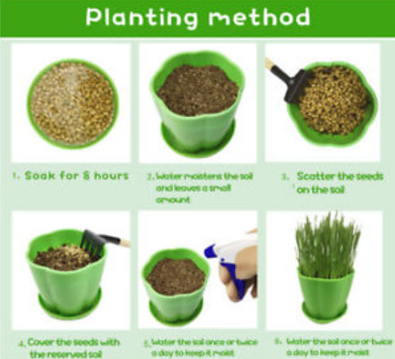 แค็ทนิพ หรือแค็ทมิ้นท์ (Catnip) / 800 เม็ด (นอก)