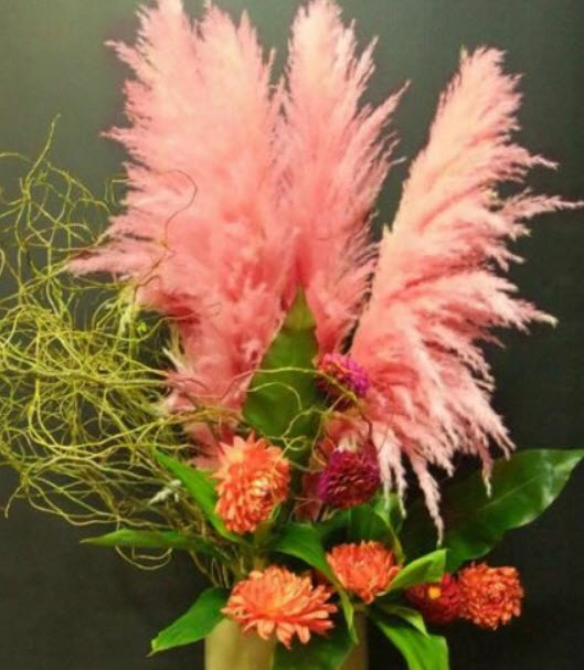 หญ้าภูเขา (Pampas grass) สีแดง / 300 เม็ด