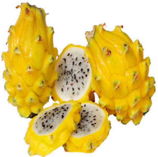 แก้วมังกรเหลือง (Yellow Pitaya) เนื้อขาว / 20 เม็ด