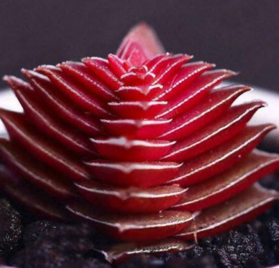 บุดด้า เท็มเปิล (Buddha's Temple) / 100 เม็ด