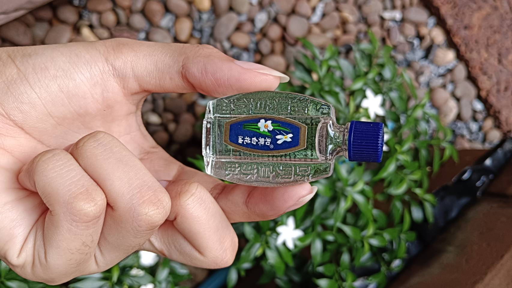 น้ำมันดอกไม้ขาว เเปะฮวยอิ้ว 5 ml