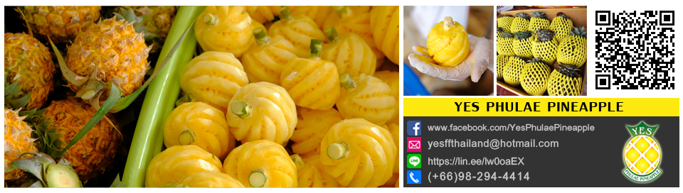 Yes Phulae Pineapple
