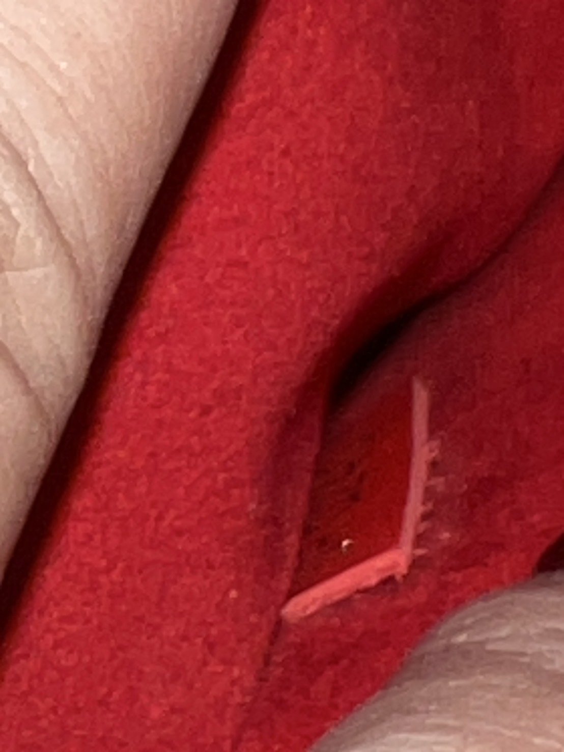 LV neo noe มือสอง สีแดง