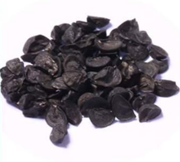 แคคตัส (Cactus-onion) สีเหลือง / 50 เม็ด