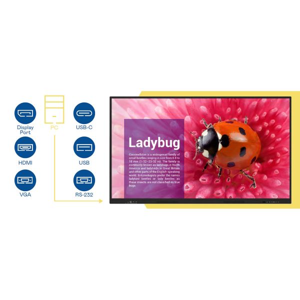 JECTOR UT8601 Interactive Flat Panel Display 4K ทัชสกรีน 86 นิ้ว ความละเอียด 3,840 x 2,160 Pixel