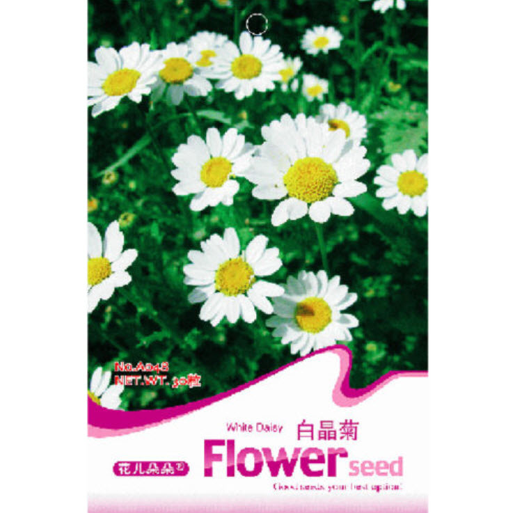 เดซี่ (white Daisy) สีขาว / ซอง 30 เม็ด (A048)