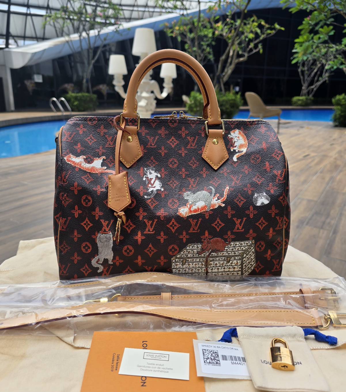 louis vuitton catogram speedy 30 มือสอง