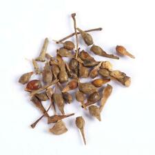 เมเปิ้ล Sugar Maple Syrup หรือ Rock Maple เหลือง / 25 เม็ด