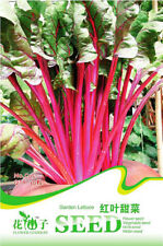 สลัดผักกาดแดง (Red Leaf Lettuce) / ซอง 30 เม็ด (C051)