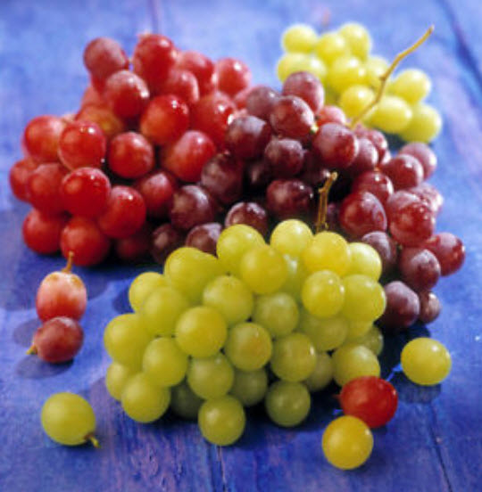 องุ่น ลูกกลม คละสี (S019) / 50 เม็ด (นอก)