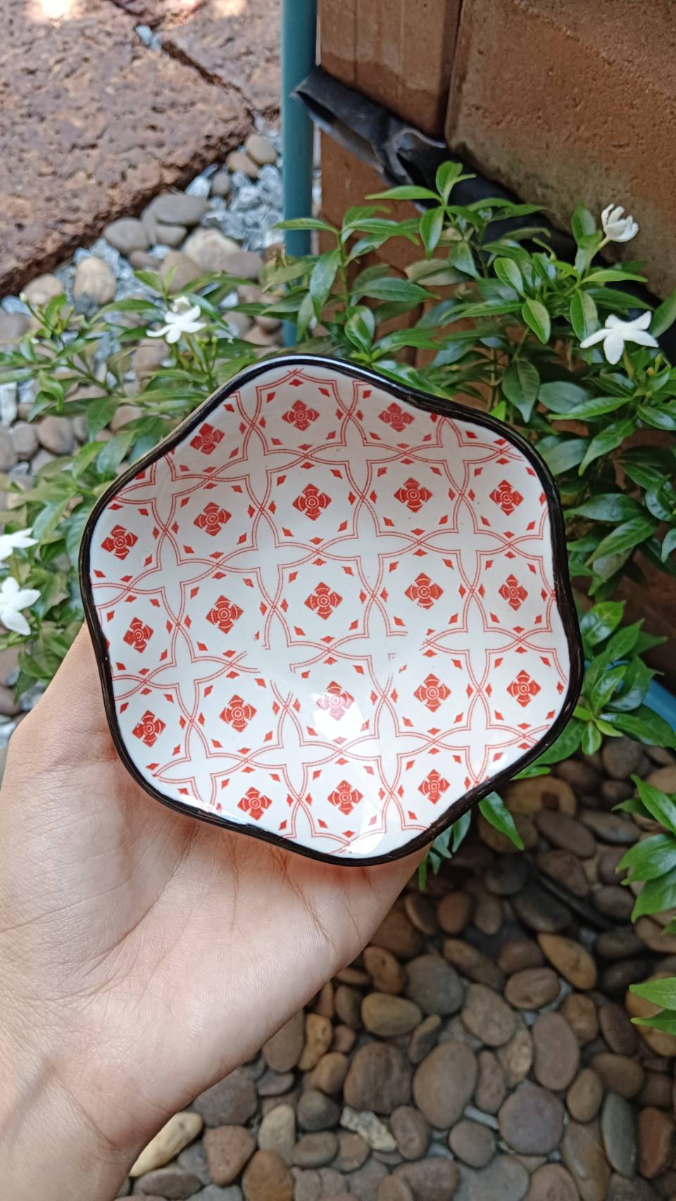 ถ้วยน้ำจิ้ม 3.5 นิ้ว หลายแบบคละลาย คละสี