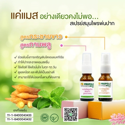 PB PROPOLIZ MOUTH SPRAY สเปรย์สมุนไพรพ่นปาก