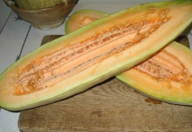 แตง Honeymelon Banana / 5 เม็ด (Hungary)