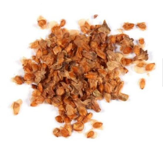 ไวท์เบิร์ช หรือซิลเวอร์เบิร์ช (White Birch / Silver Birch) / 20 เม็ด