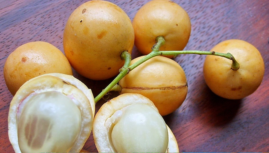 มะไฟ (Burmese Grape) / 10 เม็ด