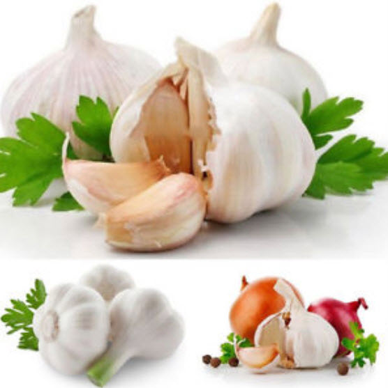 กระเทียม หัวใหญ่ / 100 เม็ด