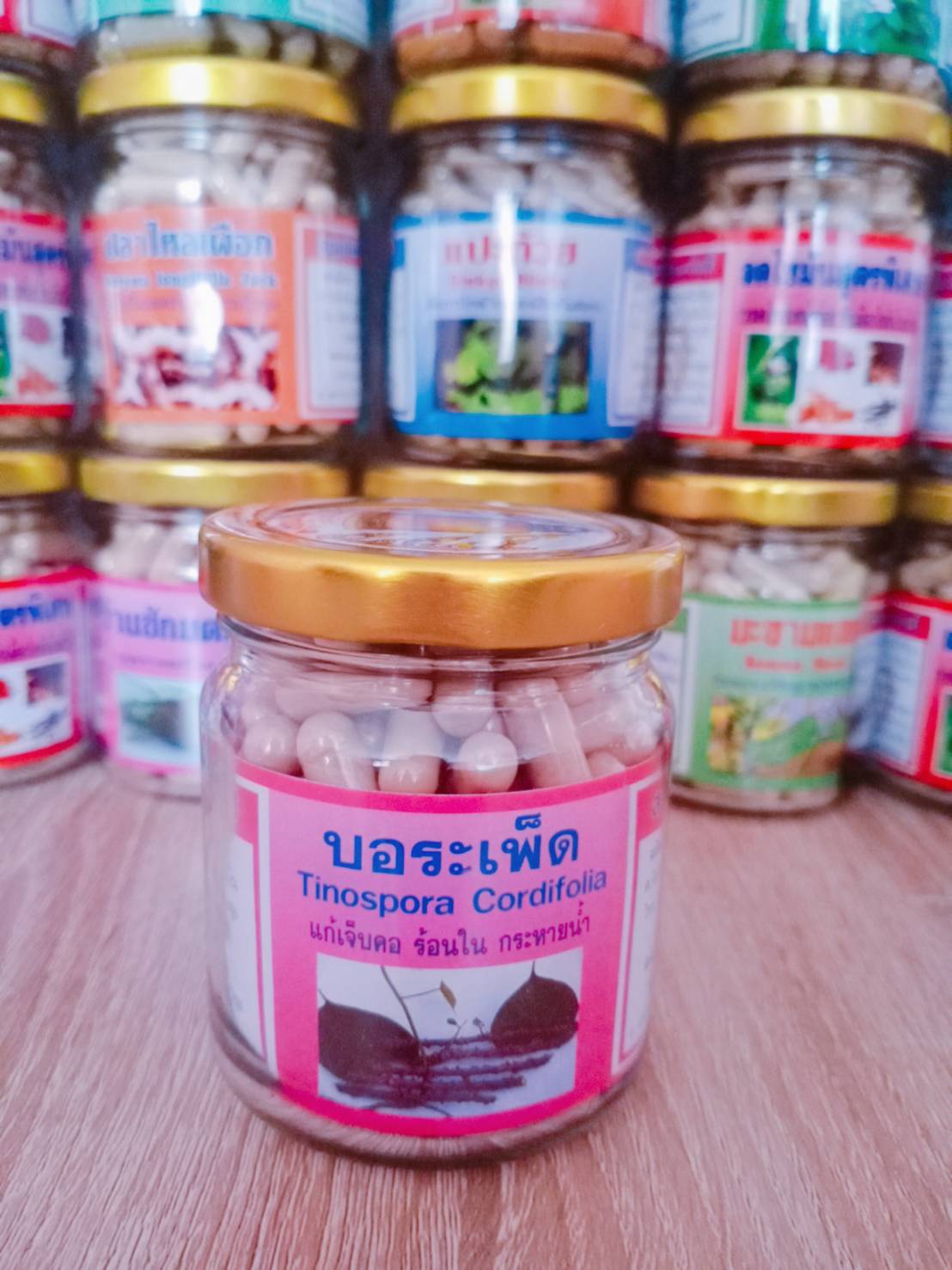 บอระเพ็ด สมุนไพรพรหมรังสี