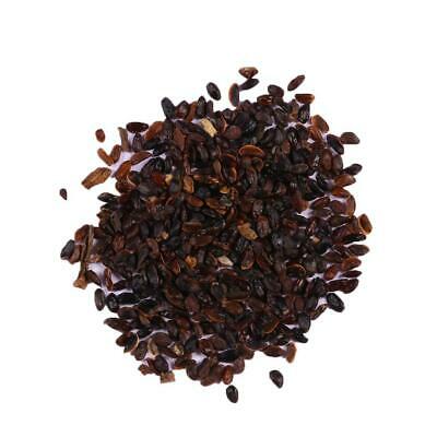 ไลซิแอนธัส (Lisianthus - Double Valve) สีน้ำเงิน / 25 เม็ด