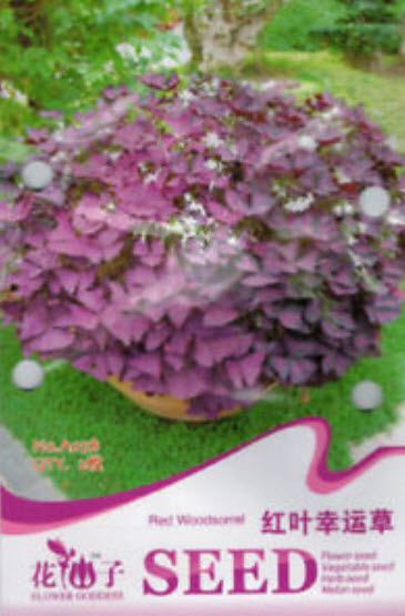 ผีเสื้อราตรี/ปีกผีเสื้อ (Oxalis) / ซอง 2 เม็ด (หายาก)