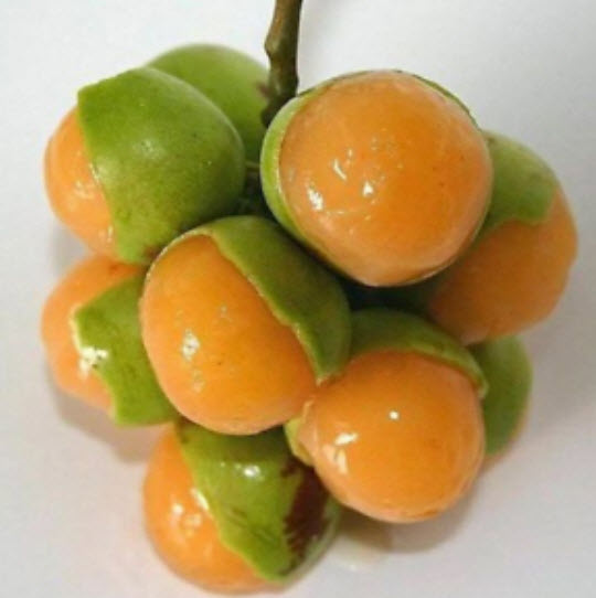 มะนาว Sweet Spanish / 10 เม็ด