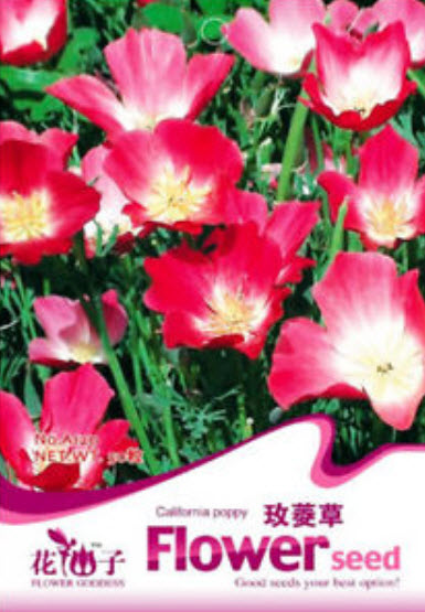 แคลิฟอร์เนียป๊อปปี้ (California Poppy) คละ แบบ C / ซอง 50 เม็ด