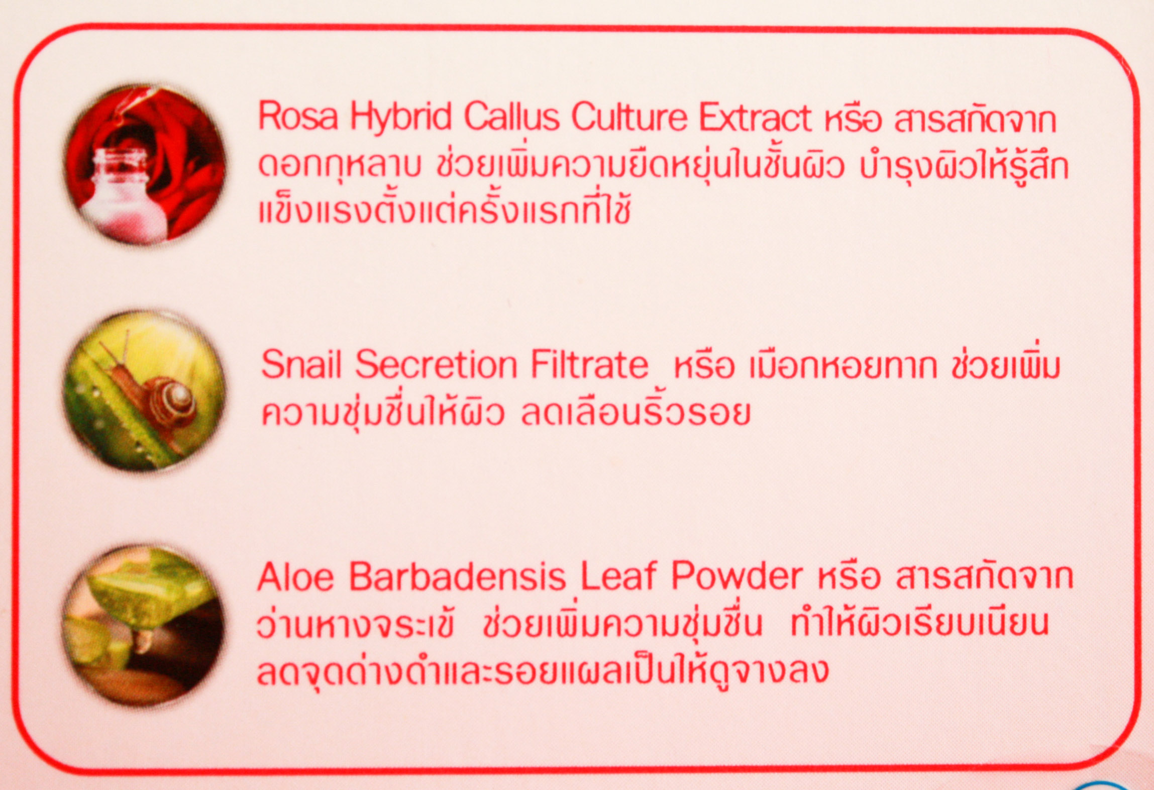 Yanhee Essence ยันฮี เอสเซ้นส์
