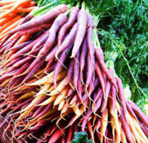 แครอท (Carrot) สีม่วง / 500 เม็ด