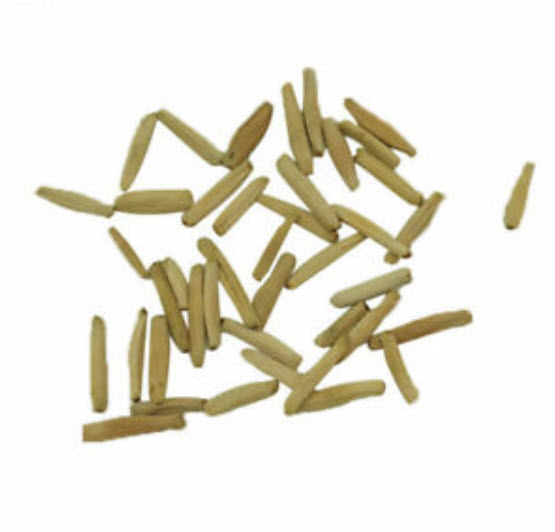 ชวนชม (Desert Rose / Adenium) ฟ้า-ขาว / 2 เม็ด (นอก)