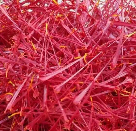 หัวหญ้าฝรั่น (Saffron Crocus) พืชสมุนไพร ของแท้ จากต่างประเทศ / หัว