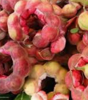 มะขามเทศ (Manila tamarind) สีชมพู / 30 เม็ด (ไทย)