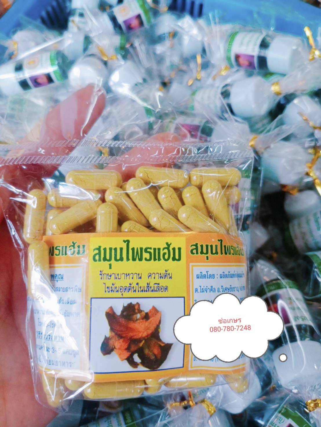 สมุนไพรแฮ้ม พรหมรังสี