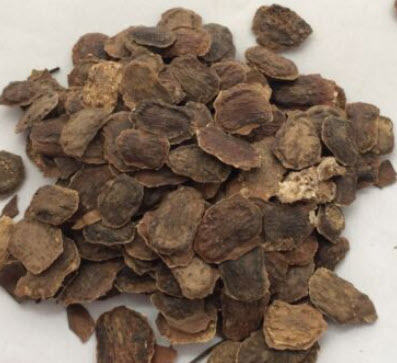 พะยูงหอม หรือ ฮวงฮัวลี่ (Dalbergia odorifera) / 25 เม็ด (France)