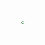 AP-07 Inner Barrel O-ring