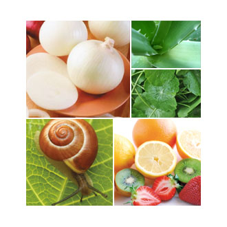 Scaderm Plus+ Scar & Acne Spot 10g.