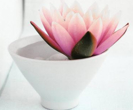 บัวฝรั่ง สีชมพู / 200 เม็ด