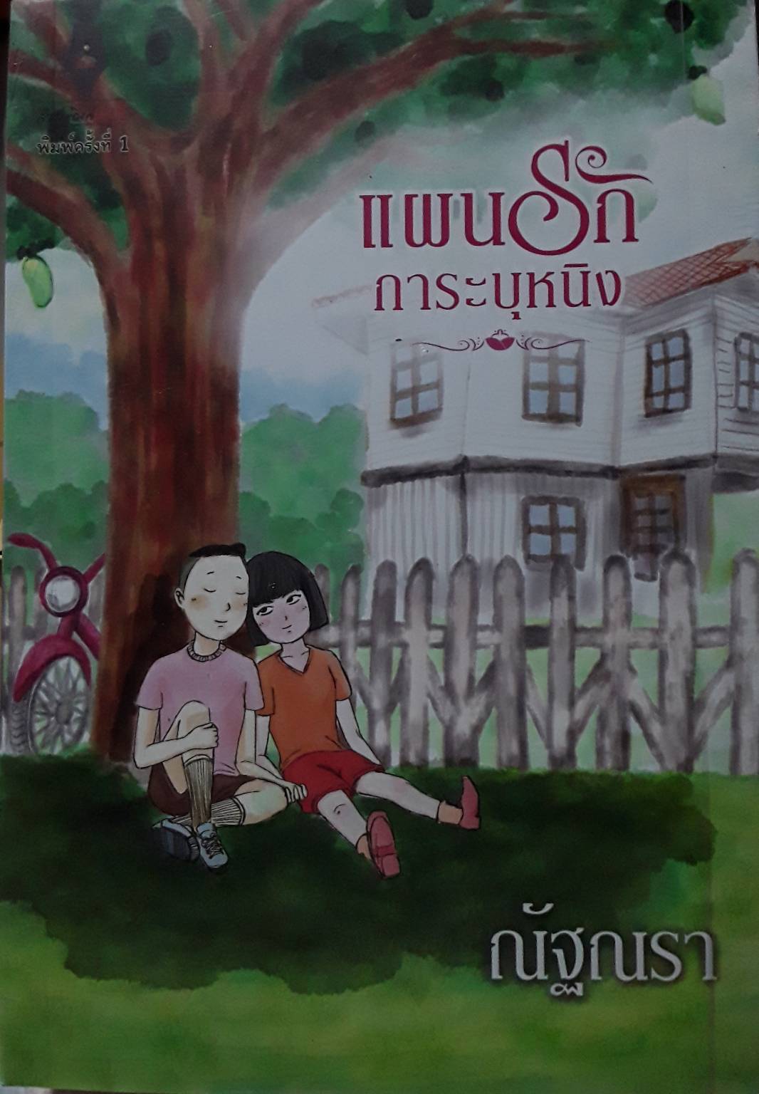แผนรักการะบุหนิง